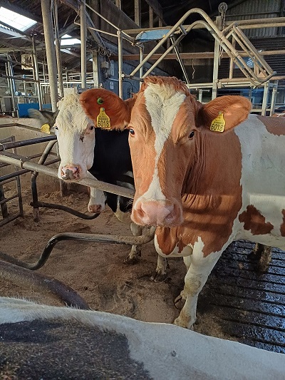 Bezoek boerderij2
