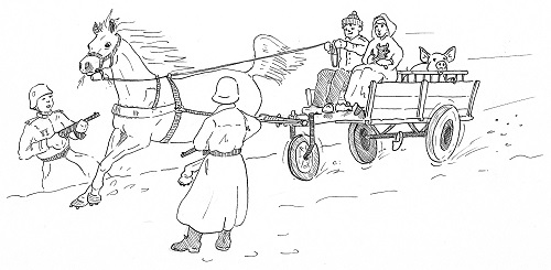 Harddravertje
